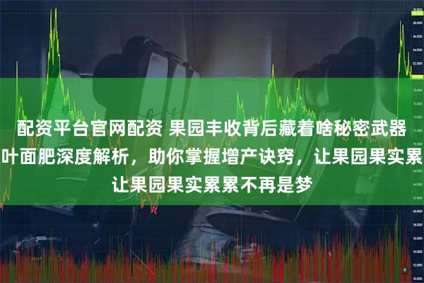 配资平台官网配资 果园丰收背后藏着啥秘密武器？三款高效叶面肥深度解析，助你掌握增产诀窍，让果园果实累累不再是梦