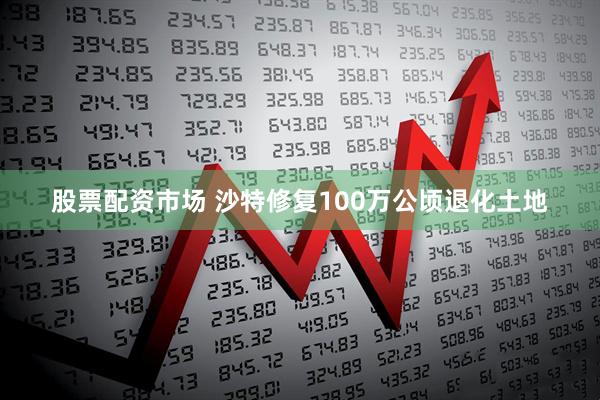 股票配资市场 沙特修复100万公顷退化土地